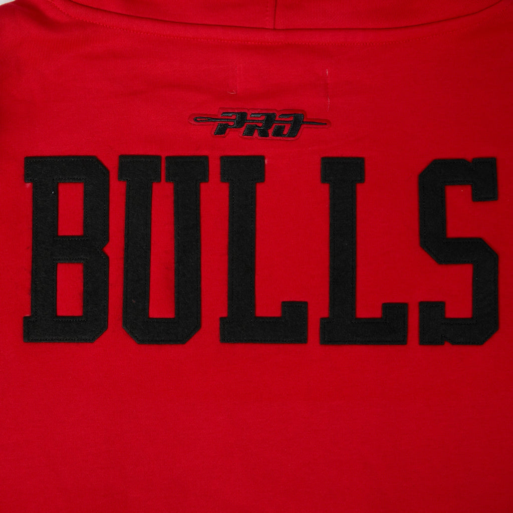 NBA CHICAGO BULLS MODERN ORIGINALS MEN'S FLC PO HOODIE (Red)