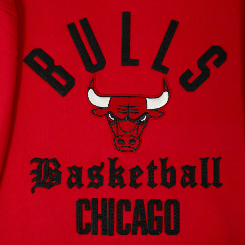 NBA CHICAGO BULLS MODERN ORIGINALS MEN'S FLC PO HOODIE (Red)