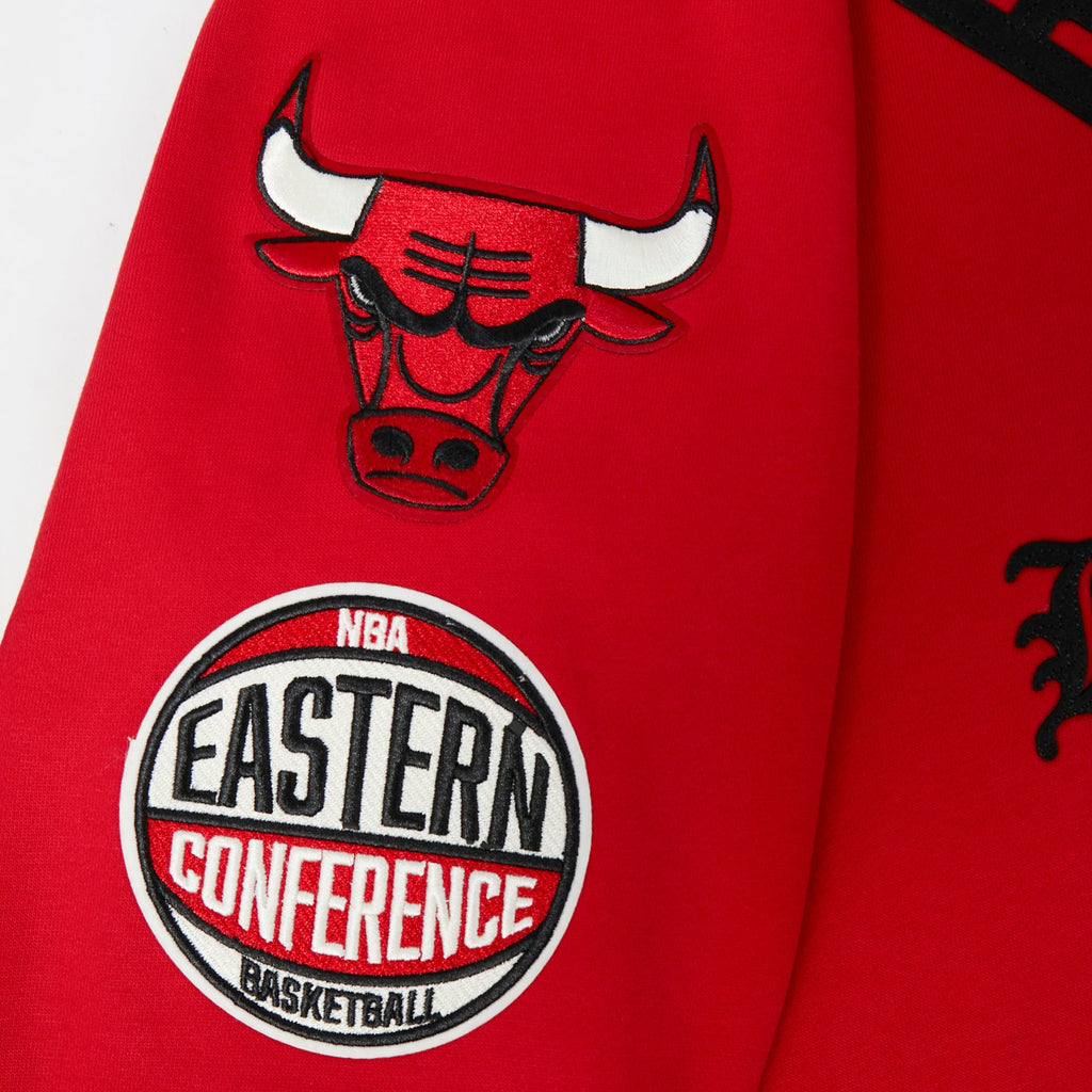 NBA CHICAGO BULLS MODERN ORIGINALS MEN'S FLC PO HOODIE (Red)
