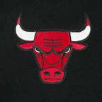 NBA CHICAGO BULLS LIVING LARGE MEN'S DROP SHOULDER FLC PO HOODIE (BLACK)