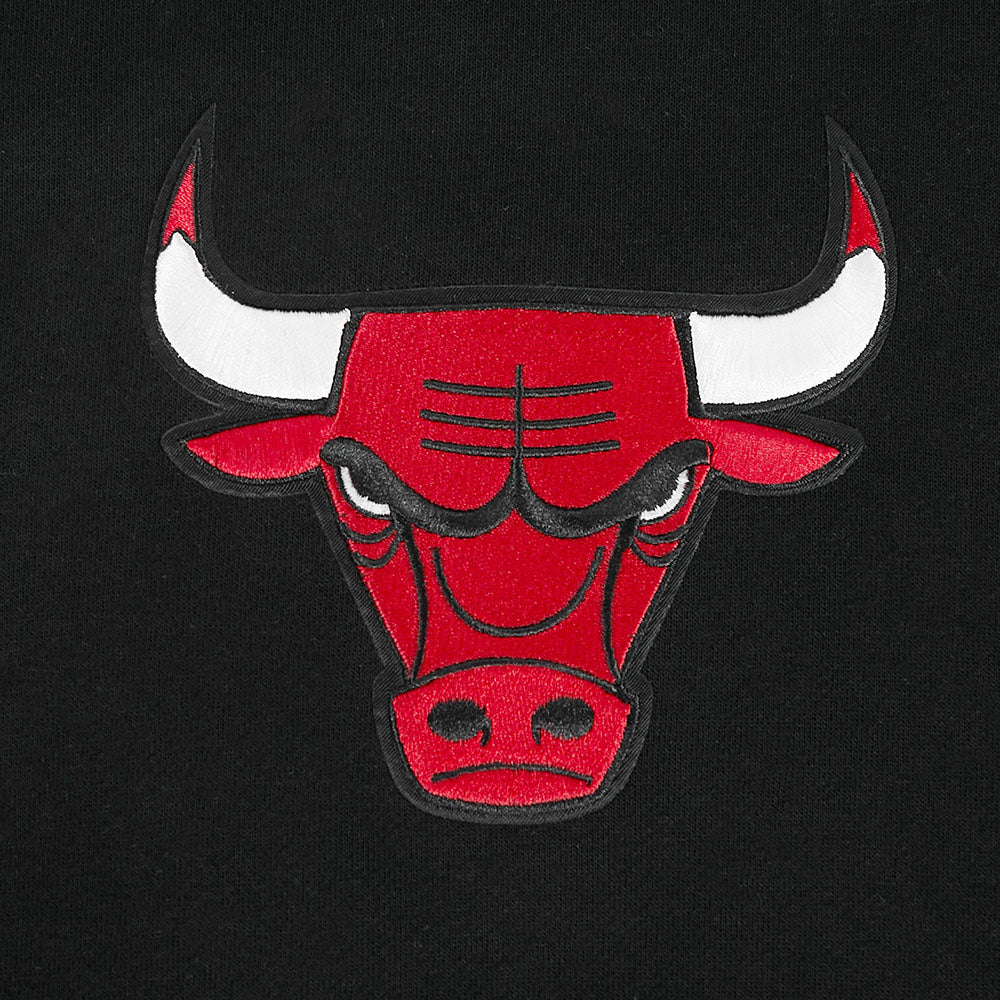 NBA CHICAGO BULLS LIVING LARGE MEN'S DROP SHOULDER FLC PO HOODIE (BLACK)