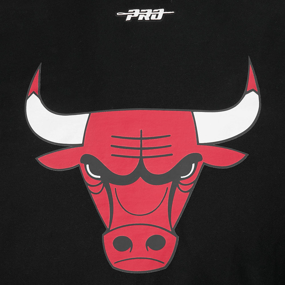 NBA CHICAGO BULLS LIVING LARGE MEN'S DROP SHOULDER FLC PO HOODIE (BLACK)