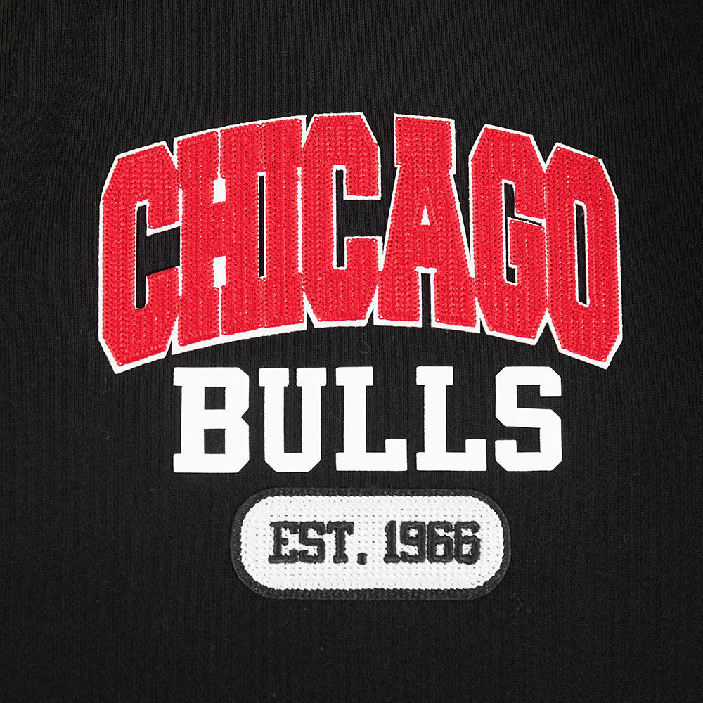 NBA CHICAGO BULLS CITY ARCH MEN'S FLC 1/4 ZIP (BLACK)
