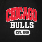 NBA CHICAGO BULLS CITY ARCH MEN'S FLC 1/4 ZIP (BLACK)