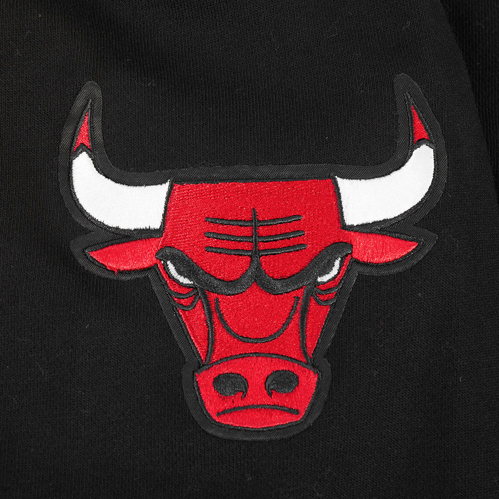 NBA CHICAGO BULLS CITY ARCH MEN'S FLC 1/4 ZIP (BLACK)