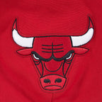 NBA CHICAGO BULLS PLAYBACK MEN'S PULL OVER HOODIE (RED)