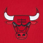 NBA CHICAGO BULLS PLAYBACK MEN'S PULL OVER HOODIE (RED)