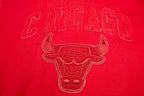 NBA CHICAGO BULLS CLASSIC TRIPLE RED MEN'S PO HOODIE (TRIPLE RED)
