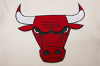 NBA CHICAGO BULLS RETRO CLASSIC CHANDAIL À CAPUCHON POUR HOMME (COQUILLE D'ŒUF/ROUGE)