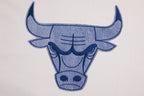 NBA CHICAGO BULLS VARSITY BLUES CHANDAIL À CAPUCHON POUR HOMME (LIN)