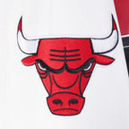 NBA CHICAGO BULLS BEST OF BLOUSON COLLÉGIAL EN CUIR POUR HOMME (NOIR/BLANC)