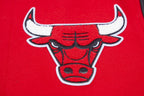 NBA CHICAGO BULLS CLASSIC WOOL MEN'S VARSITY JACKET (RED/BLACK)