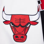 NBA CHICAGO BULLS LETTERMAN BLOUSON COLLÉGIAL POUR HOMME (NOIR/BLANC)