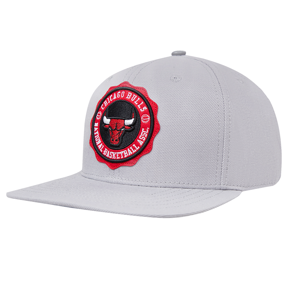 NBA CHICAGO BULLS CREST EMBLEM UNISEX WOOL SNAPBACK HAT (GRAY)
