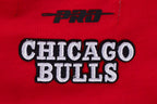 NBA CHICAGO BULLS SCRIPT TAIL WOMEN'S COTTON BOYFRIEND TEE (RED)