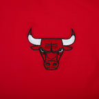 NBA CHICAGO BULLS CLASSIC CHENILLE WOMEN'S DRESS (RED)