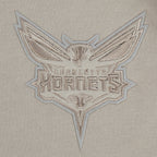 NBA CHARLOTTE HORNETS NEUTRAL BIG BOY'S FLC PO HOODIE (TAUPE)