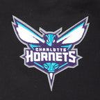 NBA CHARLOTTE HORNETS RETRO CLASSIC BIG BOY'S RIB FLEECE PULLOVER HOODIE (BLACK)