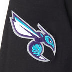 NBA CHARLOTTE HORNETS RETRO CLASSIC BIG BOY'S RIB FLEECE PULLOVER HOODIE (BLACK)