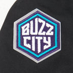 NBA CHARLOTTE HORNETS CLASSIC TODDLER BOY'S FLEECE PULLOVER HOODIE (BLACK)