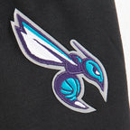 NBA CHARLOTTE HORNETS CLASSIC TODDLER BOY'S FLEECE PULLOVER HOODIE (BLACK)