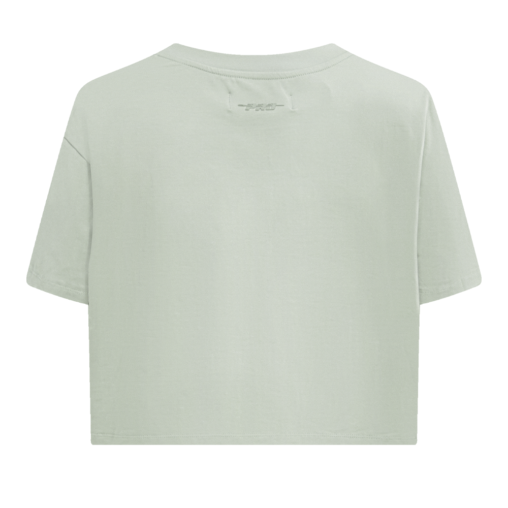 NBA DENVER NUGGETS NEUTRAL SINGLE JERSEY BOXY TEE (MOSS)