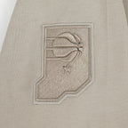 NBA INDIANA PACERS NEUTRAL BIG BOY'S FLC PO HOODIE (TAUPE)