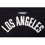 NBA LOS ANGELES LAKERS MODERN ORIGINALS T-SHIRT EN JERSEY SIMPLE POUR HOMME (NOIR)