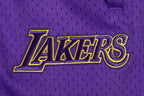 NBA LOS ANGELES LAKERS SCRIPT TAIL SHORT EN MAILLE DOUBLE 2.0 POUR HOMME (NOIR/VIOLET)