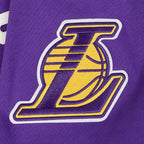 NBA LOS ANGELES LAKERS MODERN ORIGINALS MEN'S FLC PO HOODIE (Purple)