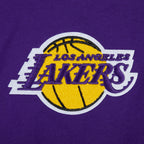 NBA LOS ANGELES LAKERS LIVING LARGE MEN'S PULLOVER HOODIE (PURPLE)