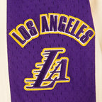 NBA LOS ANGELES LAKERS RETRO CLASSIC BIG BOY'S FLC 2.0 SHORT (EGGSHELL/ PURPLE)