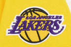 NBA LOS ANGELES LAKERS CLASSIC LITTLE BOY'S FLEECE FULL ZIP HOODIE (YELLOW)
