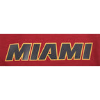 NBA MIAMI HEAT CLASSIC BIG BOY'S FLC 2.0 SHORT (CARDINAL RED)