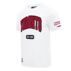 NBA TORONTO RAPTORS CITY ARCH MEN'S SJ TEE (WHITE)