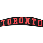 NBA TORONTO RAPTORS WINGSPAN CHANDAIL À CAPUCHON POUR HOMME (NOIR)