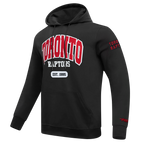 NBA TORONTO RAPTORS CITY ARCH MEN'S FLC PO HOODIE (BLACK)