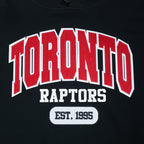 NBA TORONTO RAPTORS CITY ARCH MEN'S FLC PO HOODIE (BLACK)