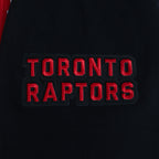 NBA TORONTO RAPTORS CITY ARCH MEN'S FLC PO HOODIE (BLACK)