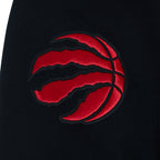NBA TORONTO RAPTORS CITY ARCH MEN'S FLC PO HOODIE (BLACK)