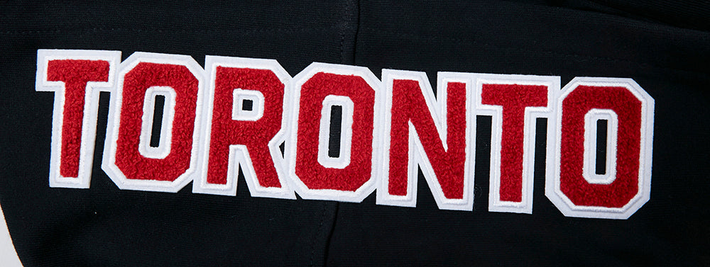 NBA TORONTO RAPTORS CITY SCAPE MEN'S PO HOODIE (BLACK)