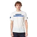 NFL ARIZONA CARDINALS VARSITY BLUES MEN'S SJ TEE (LINEN)
