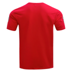 NFL ATLANTA  FALCONS CLASSIC CHENILLE MEN'S   TEE (RED)