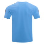 NFL ATLANTA  FALCONS CLASSIC CHENILLE SINGLE JERSEY TEE (UNIVERSITY BLUE)