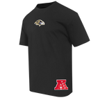 NFL BALTIMORE RAVENS WINGSPAN T-SHIRT À ÉPAULES TOMBANTES POUR HOMME (NOIR)