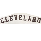 NFL CLEVELAND BROWNS WINGSPAN CHANDAIL À CAPUCHON POUR HOMME (COQUILLE D'ŒUF)