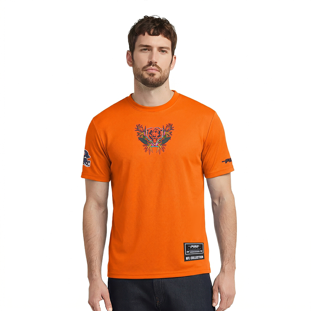 FCH1411479-ORG-MODEL-1