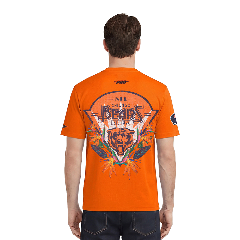 FCH1411479-ORG-MODEL-2