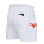 NFL CHICAGO BEARS SOUVENIR MEN'S MESH SHORT (WHITE)