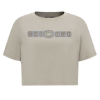 NFL CHICAGO BEARS NEUTRAL T-SHIRT EN JERSEY SIMPLE À COUPE CARRÉE (TAUPE)